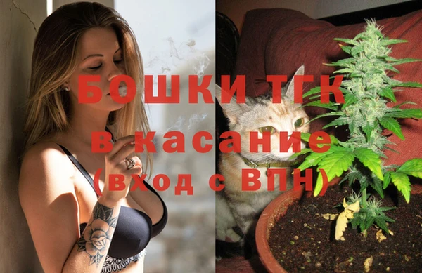 молекула духа Алексеевка
