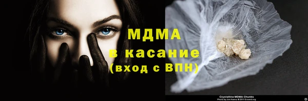 стаф Алексин